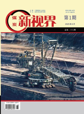 煤炭新视界期刊